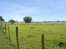 Área de 1,09ha - próxima à UCDB