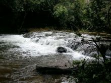 Chácara com 4 hectares Rio Mimoso com Cachoeiras