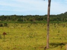 5ha apenas 5km da Cidade