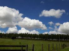 Área próximo ao anel viário