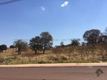 Área com 10 lotes já desmembrados 