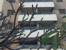 Condomínio Jamile Tannous