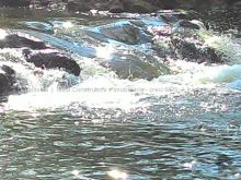 Chácara com 4 hectares no Rio Mimoso