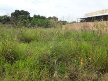 Oportunidade 02 terrenos