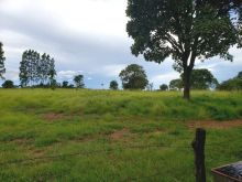 Ótima chácara bem formada