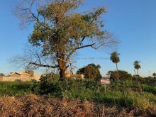 Terreno Parque das Orquídeas