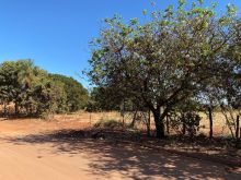 Para investidor 9700 m²