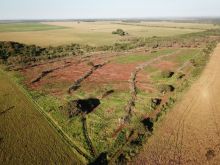 Fazenda com 32 ha - 3 km de Campo Grande