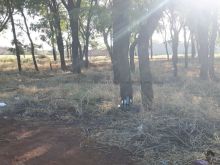 Comercial e residencial