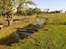 Fazenda dupla aptidão e com aviários