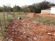 Terreno grande meio de quadra com asfalto