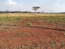 Terreno próximo UCDB