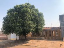 Monte Castelo - casa com amplo terreno