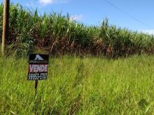 Área pronta para desmembrar ou lotear