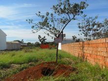 Excelente localização