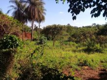 4400m² paralelo avenida Três Barras