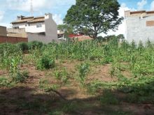 Lindo lote 10x25m - residencial Gama