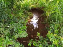 Área na entrada de Sidrolândia