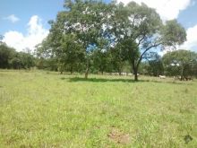 35,9420 hectares - 60 km de Campo Grande