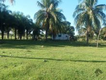 Fazenda em Aquidauana 615 ha divisa com o rio