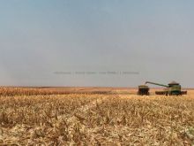 Fazenda de Dupla Aptidão com 146ha