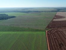 Fazenda em Bandeirantes/MS com 60 ha