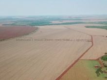 Fazenda 3 km do asfalto em Maracaju/MS