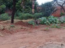 Ótimo terreno de esquina Oliveira 2