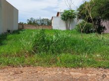 Terreno bom para construtor