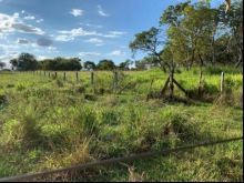 10 hectares em Terenos