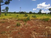6km do centro Chácara 6ha bairro Seminário