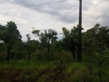 Excelente valorização