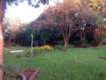 Ótima área para construtoras de residenciais