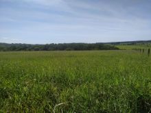 Chácara 2ha 15km Campo Grande 1km do asfalto