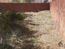 Excelente área com 3.752m² sendo 90% murado