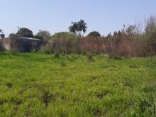 Excelente - 05 lotes - 02 de esquina todos juntos