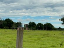 Fazenda 235 ha em Terenos-MS