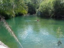 65ha beira do Rio Formoso 5,5km do centro de Bonito