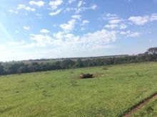 Ótima fazenda - saída para Ribas do Rio Pardo