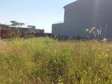 Terreno de frente para o asfalto