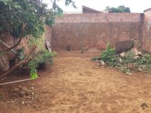 Terreno com 14m de frente no asfalto