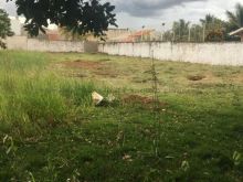 Terreno no centro na área nobre da cidade