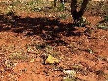 Terreno bem localizado