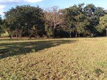 Chácara perto da BR 163