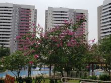 Um espetáculo de apartamento