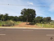 Terreno meio de quadra com asfalto - avenida