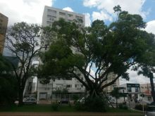 Edifício Las Vegas - 3 quartos todo mobiliado