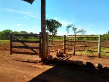 Chácara de seis hectares