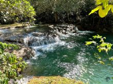 Fazenda 100ha em Bonito MS