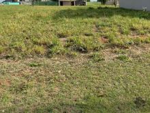 Lindíssimo terreno nascente